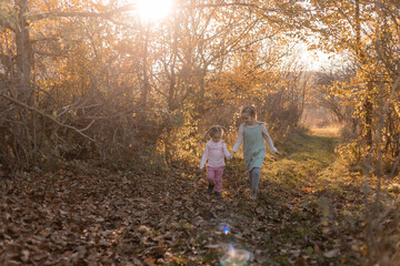 Fototapeta premium children walk, play, socialize and have fun in the autumn park on a warm sunny day, lifestyle