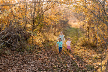 Fototapeta premium children walk, play, socialize and have fun in the autumn park on a warm sunny day, lifestyle
