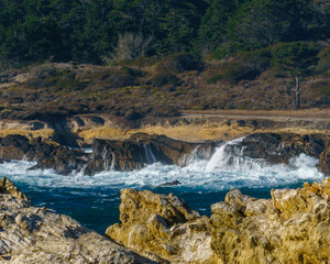 Fototapeta na wymiar Point Lobos Bird Island Trail Big Sur California 