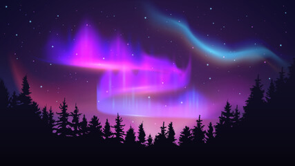Night sky with polar lights. Aurora borealis, northern merry dancers and nature forest on north light background vector Illustration