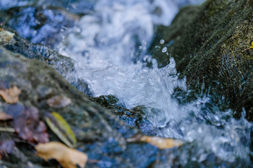 a close up of a water creek in woods