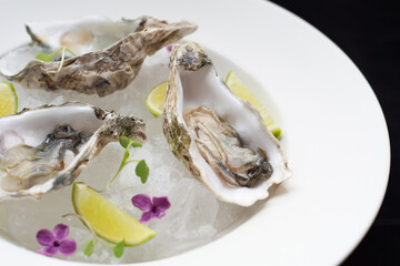 PLATO con ostras frescas sobre hielo