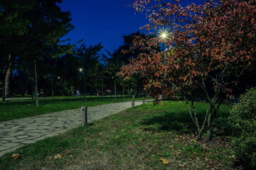 The tailed road with yellow leafs in the night park with lanterns in autumn. Benches in the park during the autumn season at night. Illumination of a park road with lanterns at night. Park Kyoto