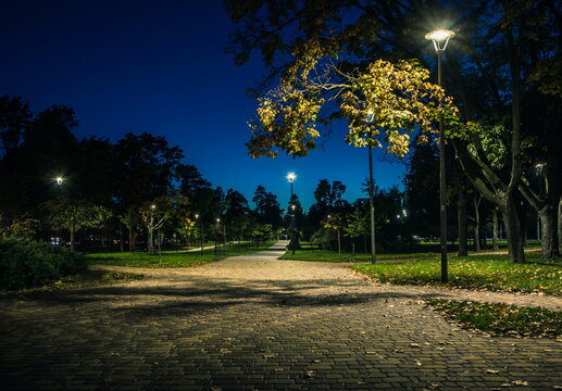 The tailed lawn with yellow leafs in the night park with lanterns in autumn. Benches in the park during the autumn season at night. Illumination of a park road with lanterns at night. Park Kyoto