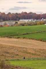 Amish person biking past a pumpkin patch in the farmland of Amish country, Ohio