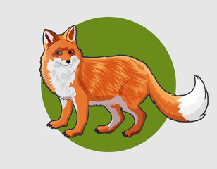 Obraz premium Fox