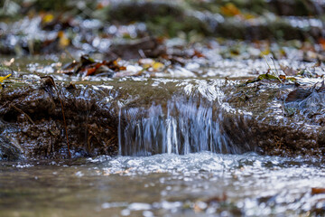 a closeup of cascade of small waterfall formed on forest creek