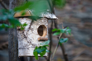 An old wooden birdhouse on a tree in a park area. A simple design of a birdhouse made of birch logs on a tree