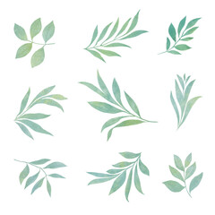 set of watercolor leaves for design, green abstract branches with leaves.