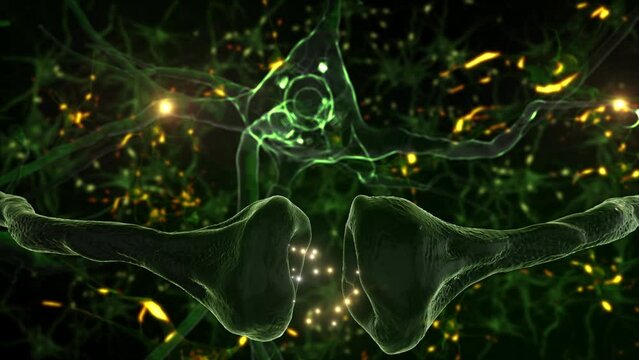 
Neuronal Activity in the Brain, Synapse Process. Electrical Impulses Between Neuronal Connections. Neurons and Neural Connections 3D Render. 