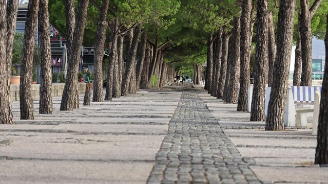 Park covered with trees and people exercising there, Parque das Nacoes in Lisbon, Portugal
