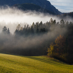 Landschaft in der Morgensonne  mit berg und bäumen