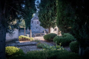 Old, stone church hidden by the tall pine tree in Skrip, the oldest village on Brac island, Croatia