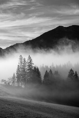 Landschaft in der Morgensonne in schwarz weiß mit berg und bäumen