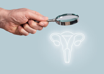 Uterus, womb health. Female reproductive system check up, medical checkup, research concept