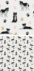 Seamless border collie dog pattern, holiday texture. Square format, t-shirt, poster, packaging, textile, socks, textile, fabric, decoration, wrapping paper. Trendy hand-drawn border collie dogs. - obrazy, fototapety, plakaty