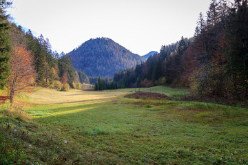 Ötscherland Niederösterreich wiese Wald Herbst