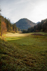 Ötscherland Niederösterreich wiese Wald Herbst