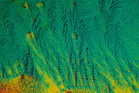 Picture of the crystals of the chemical substance Ascorbicacid, vitamin C, made by a microscope in polarized light