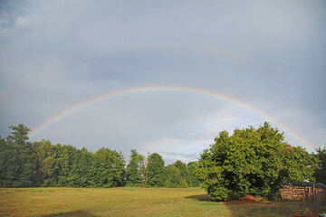 Full rainbow over the field forest and trees in summer after rain