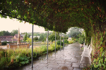 passage under green leaves in rainy day cityscape old view