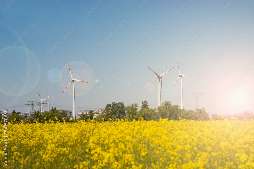 Wall mural Beautiful farm landscape with rapeseed yellow at blossom field, wind turbines to produce green energy in Germany at blue sky, sunny day and direct sunlight with lens flare