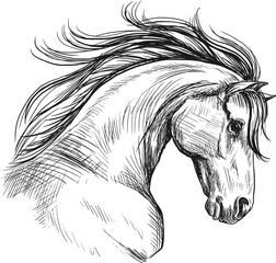 Horse head sketch in profile. Vintage vector illustration.