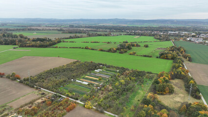 Bio farm autumn farming sweet potato harvest cabbage Brassica oleracea capitata Ipomoea batatas harvesting leaves color, agricultural garden farmer fruit tree drone aerial leaves lettuce, Czech Europe