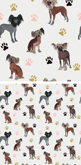 Seamless Chinese Crested dog pattern, holiday texture. Square format, t-shirt, poster, packaging, textile, socks, textile, fabric, decoration, wrapping paper. Trendy hand-drawn puff dog wallpaper.