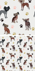 Obraz premium Seamless Chinese Crested dog pattern, holiday texture. Square format, t-shirt, poster, packaging, textile, socks, textile, fabric, decoration, wrapping paper. Trendy hand-drawn puff dog wallpaper.
