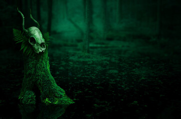 Heathen ritual. Horned skull on mossy stump in a swamp of dark forest