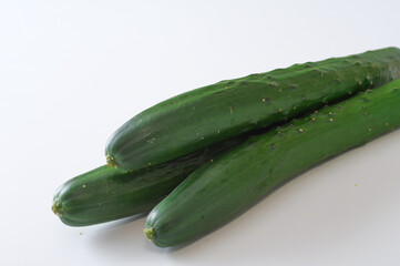 きゅうり 白バック