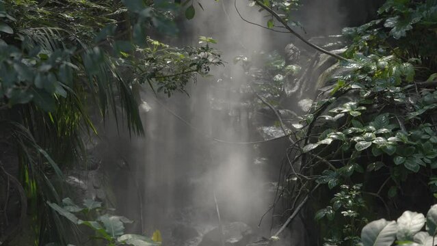This video shows mist around a small jungle waterfall on an idyllic afternoon. 