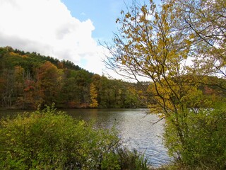 autumn landscape with lake 