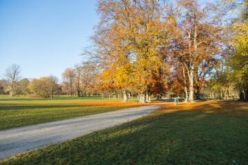 Sidewalk through the beautiful English Garden in Munich, Germany at a sunny morning in autumn along old beech and oak trees with colorful leaves