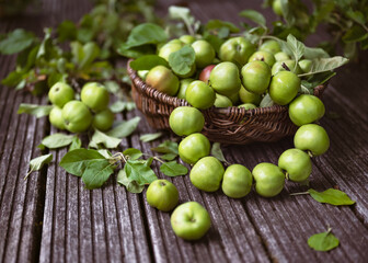Handmade summer apple wreath made of young green apples on the rustic garten wooden terrace. Floristic or gardening concept. Selective focus.