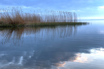 reflection in water