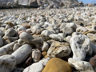 DAKHLA LANDSCAPE SAHARA SEA WATER FISH FISHING 