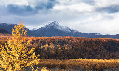 autumn landscape in the mountains