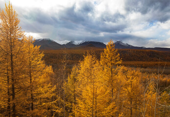 autumn landscape in the mountains