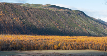autumn landscape in the mountains