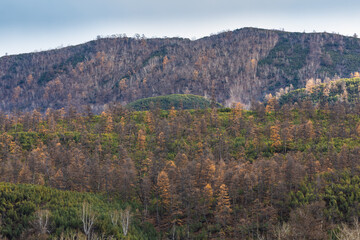 autumn landscape in the mountains