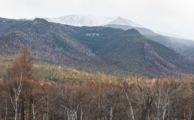 landscape in mountains