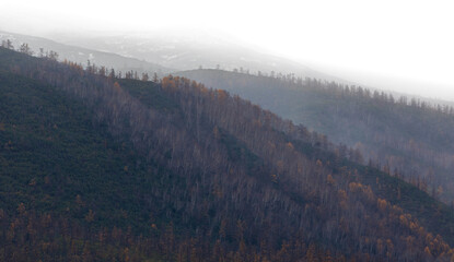 fog in the mountains