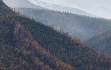 mountains in the snow