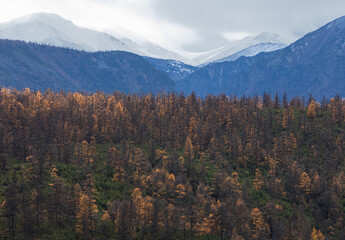 autumn in the mountains