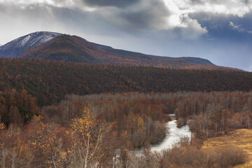 landscape in the autumn
