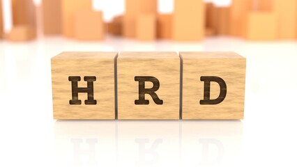 Word HRD carved on wooden blocks reflected on the white table. Business concept. In the back are wooden cuboids in different shapes. (3D rendering)