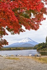 autumn in the mountains