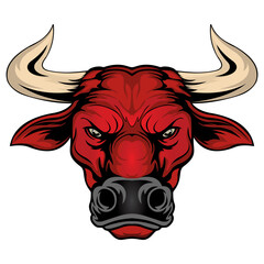 bull head isolated on white